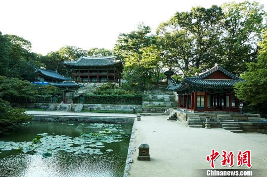 始建于1405年的朝鲜王朝离宫昌德宫，其天人合一的布局与设计令人动容。　首尔市提供　摄