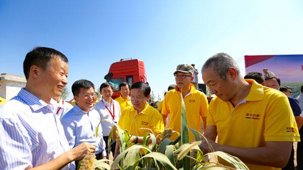 “辞职市长”梅永红（中间穿着黄衣者）以华大基因国家基因库负责人这一新身份公开出席活动。
