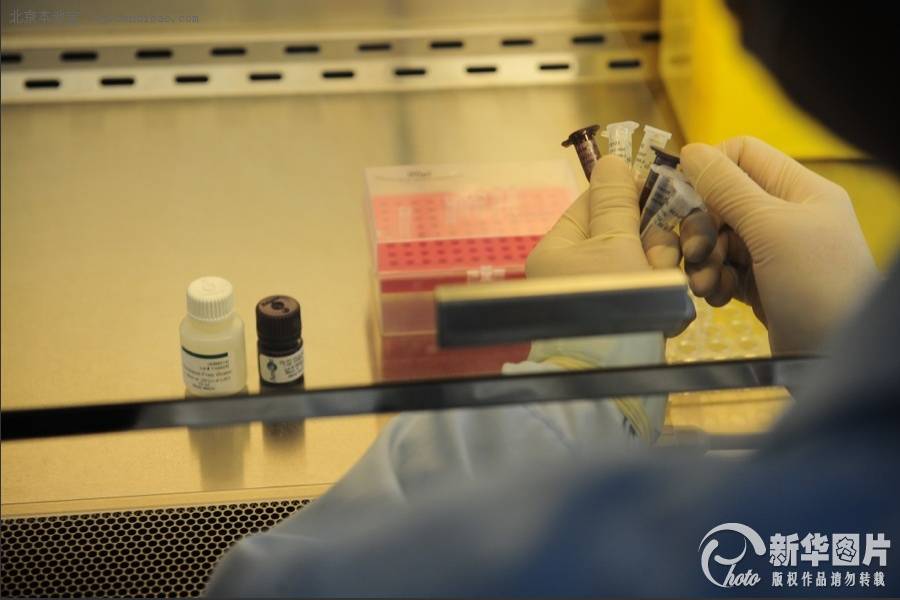 2013年4月3日，北京市疾病预防控制中心已在国家疾控中心领到了针对H7N9实验室检测试剂，检验技师正在实验室内规范H7N9禽流感的检测流程。新华网 李欣 摄