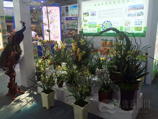 清流台湾农民创业园展区亮相第十三届中国国际农产品交易会