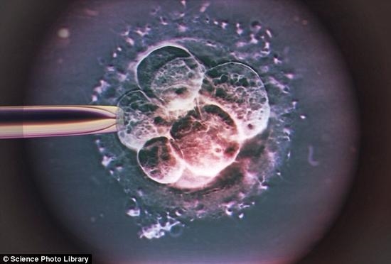 试管受精技术革新：首次实现女性体内受精