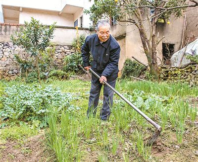 宁波象山九旬老人手不离锄“悟出”养生经