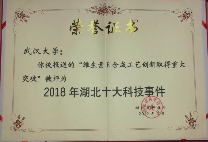 赞！武大这项技术入选2018年度湖北十大科技事件